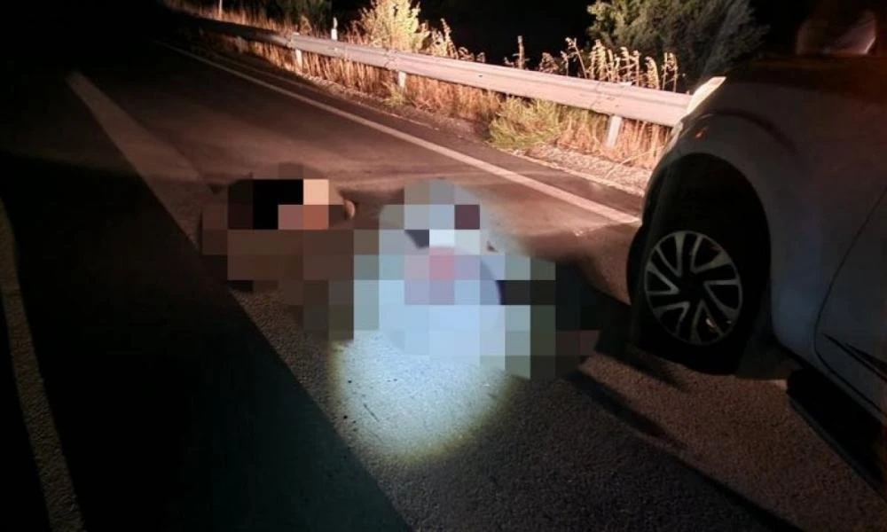 Νεκρά δύο αρκουδάκια μετά από τροχαίο στη Φλώρινα